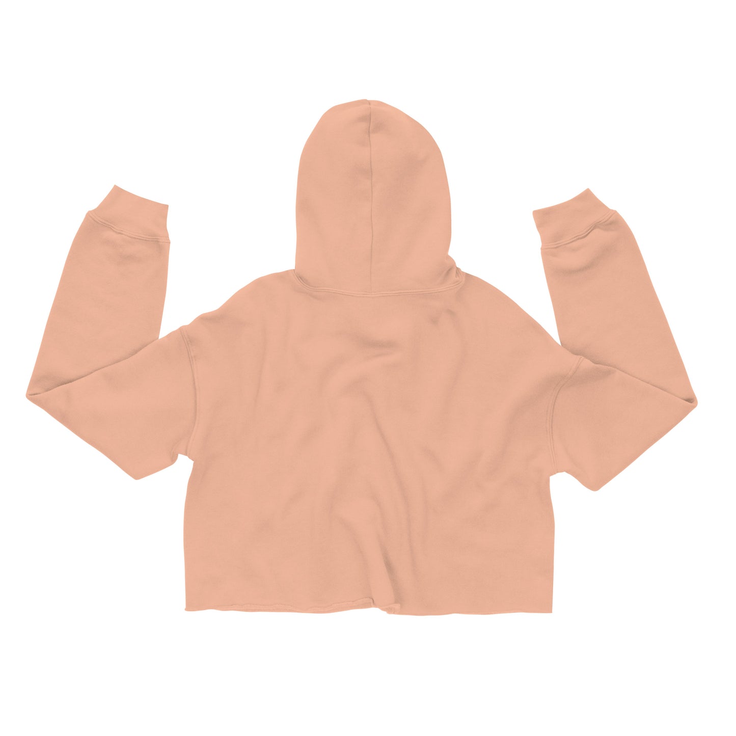 RICHSEEN Crop Hoodie