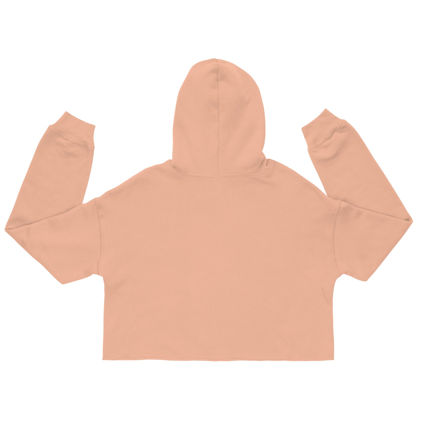 RICHSEEN Crop Hoodie